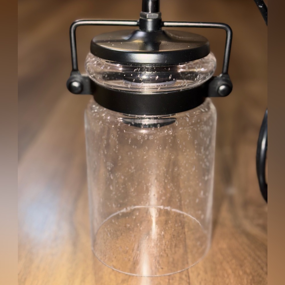 NWT Industrial Pendant Light with Clear Seeded Glass